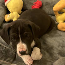 Thumbnail photo of Melvin #2