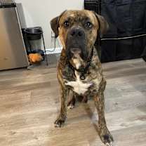 Thumbnail photo of Thanos #2