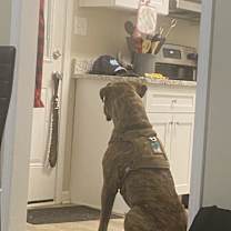 Thumbnail photo of Thanos #3