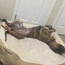 Thumbnail photo of Thanos #4