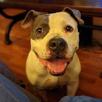 Thumbnail photo of Layla #1