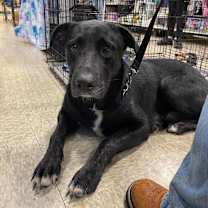 Thumbnail photo of Sawyer #3