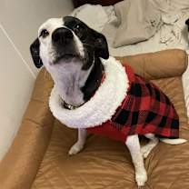 Thumbnail photo of Precious #1