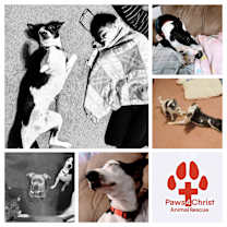 Thumbnail photo of Precious #3