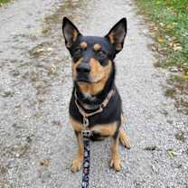 Thumbnail photo of Missy #2