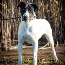 Thumbnail photo of Warrior #1