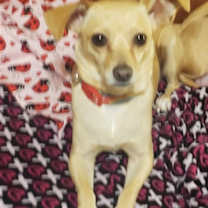 Thumbnail photo of Ruthine #1