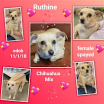 Thumbnail photo of Ruthine #2