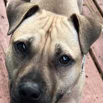 Thumbnail photo of Autumn #3