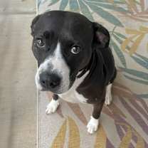 Thumbnail photo of Tinkerbell #4