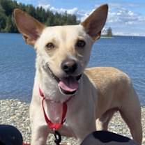 Thumbnail photo of Hansel #1