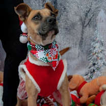 Thumbnail photo of Tina #1