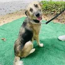 Thumbnail photo of Delta #2