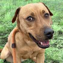 Thumbnail photo of Amy #1