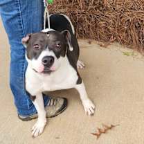 Thumbnail photo of GiGi #2