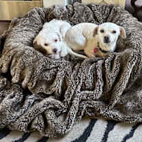 Thumbnail photo of Valerie #1