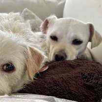 Thumbnail photo of Valerie #2