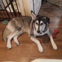 Thumbnail photo of Mumble #2