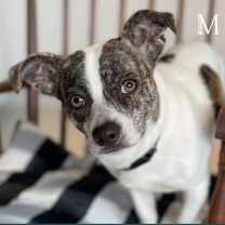 Thumbnail photo of Summit #1