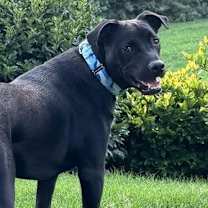 Thumbnail photo of Jeff #2