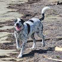 Thumbnail photo of Roxanna #3