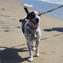 Thumbnail photo of Roxanna #4