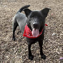 Thumbnail photo of Ben #1