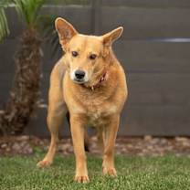 Thumbnail photo of Tirena #3