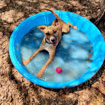 Thumbnail photo of Lola #4