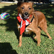 Thumbnail photo of Lorenza #2