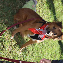 Thumbnail photo of Lorenza #4