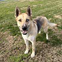 Thumbnail photo of Maverick #1