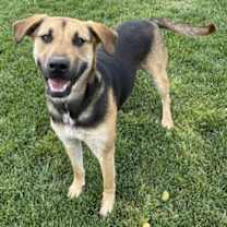 Thumbnail photo of Todd #1