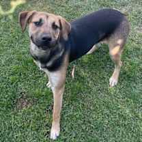 Thumbnail photo of Todd #2