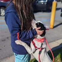 Thumbnail photo of Gracie #4