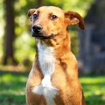 Thumbnail photo of SERENE SANDY #4