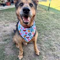 Thumbnail photo of Thor #1