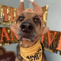 Thumbnail photo of Thor #3