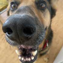 Thumbnail photo of Thor #4