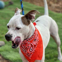 Thumbnail photo of Google #2