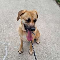 Thumbnail photo of Jasmine #3