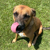 Thumbnail photo of Francine #2