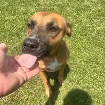 Thumbnail photo of Francine #3