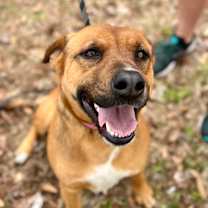 Thumbnail photo of Francine #4