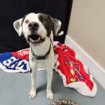 Thumbnail photo of Gage #2