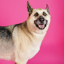 Thumbnail photo of Max #4