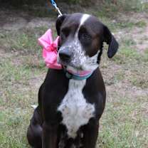 Thumbnail photo of Plexie #3