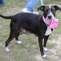 Thumbnail photo of Plexie #4