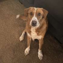 Thumbnail photo of Billie #2