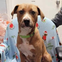 Thumbnail photo of Snap-Sponsored #1